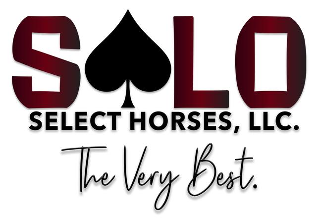 Solo Select Logo